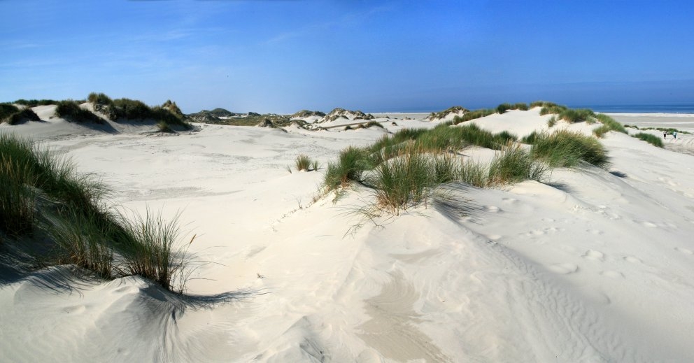 strand Oosterend 5 