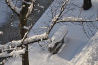 2010: schaatsbankje Dokkum in wintertooi - foto 29 * een jaar na de laatste 11-stedentocht zijn bij het keerpunt in beide rijrichtingen bankjes geplaatst in de vorm van een schaats