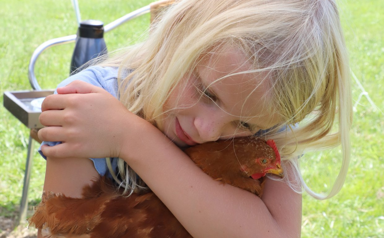 Yneke vertroetelt een kip - zusjes 3 juli 21 Engwierum