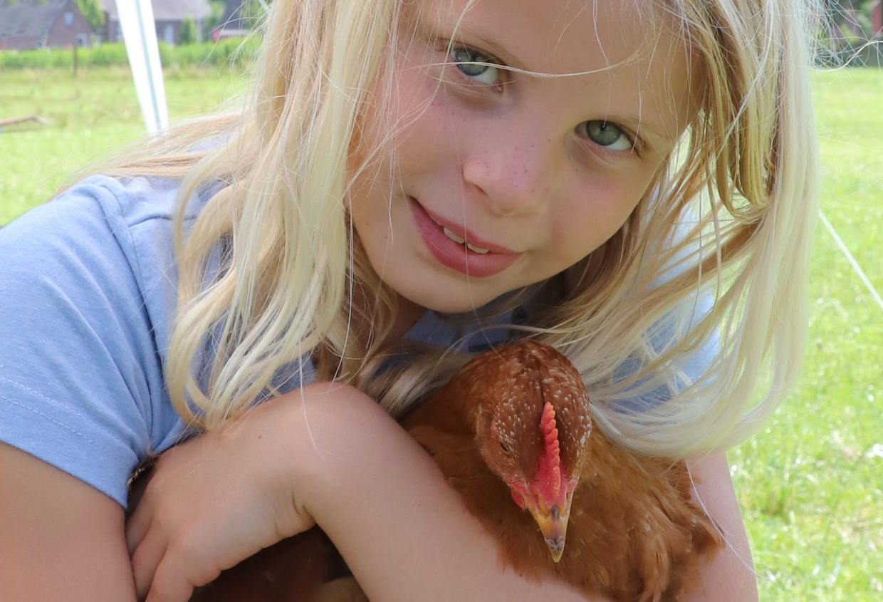 Yneke vertroetelt nog steeds een kip - zusjes 3 juli 21 Engwierum