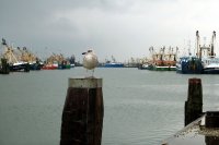 visserijhaven Lauwersoog (22 okt '05) 