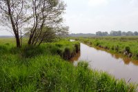 natuurgebied Reestdal, Overijssel 3 (mei 2016) 