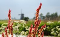 Oudkerkstermeer 2 (15 mei '07) 