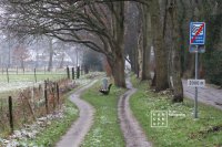 Stroomdal Drentsche Aa - Veel mooie wandel- en fietspaden onder hoge bomen