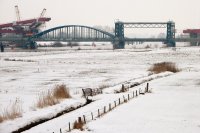 bouw nieuwe naast oude spoorbrug over de IJssel bij Zwolle, ivm Hanzelijn (15 jan '10) 
